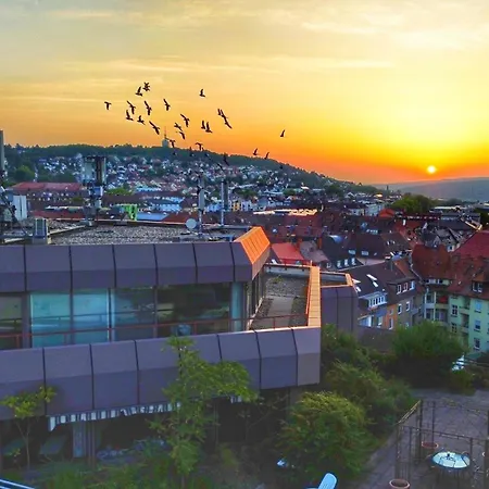 Zentrale * Pforzheim